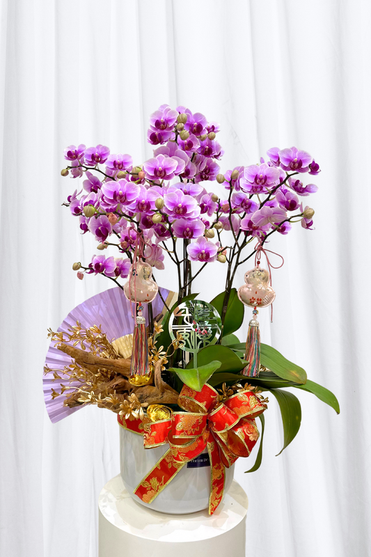 CNY Phalaenopsis Opulence | Flower Vase